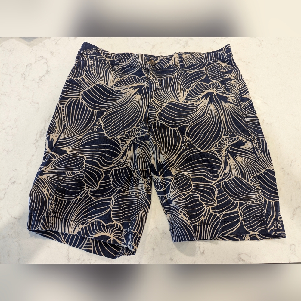 Goodfellow & Co Blue and Cream Patterned Shorts
